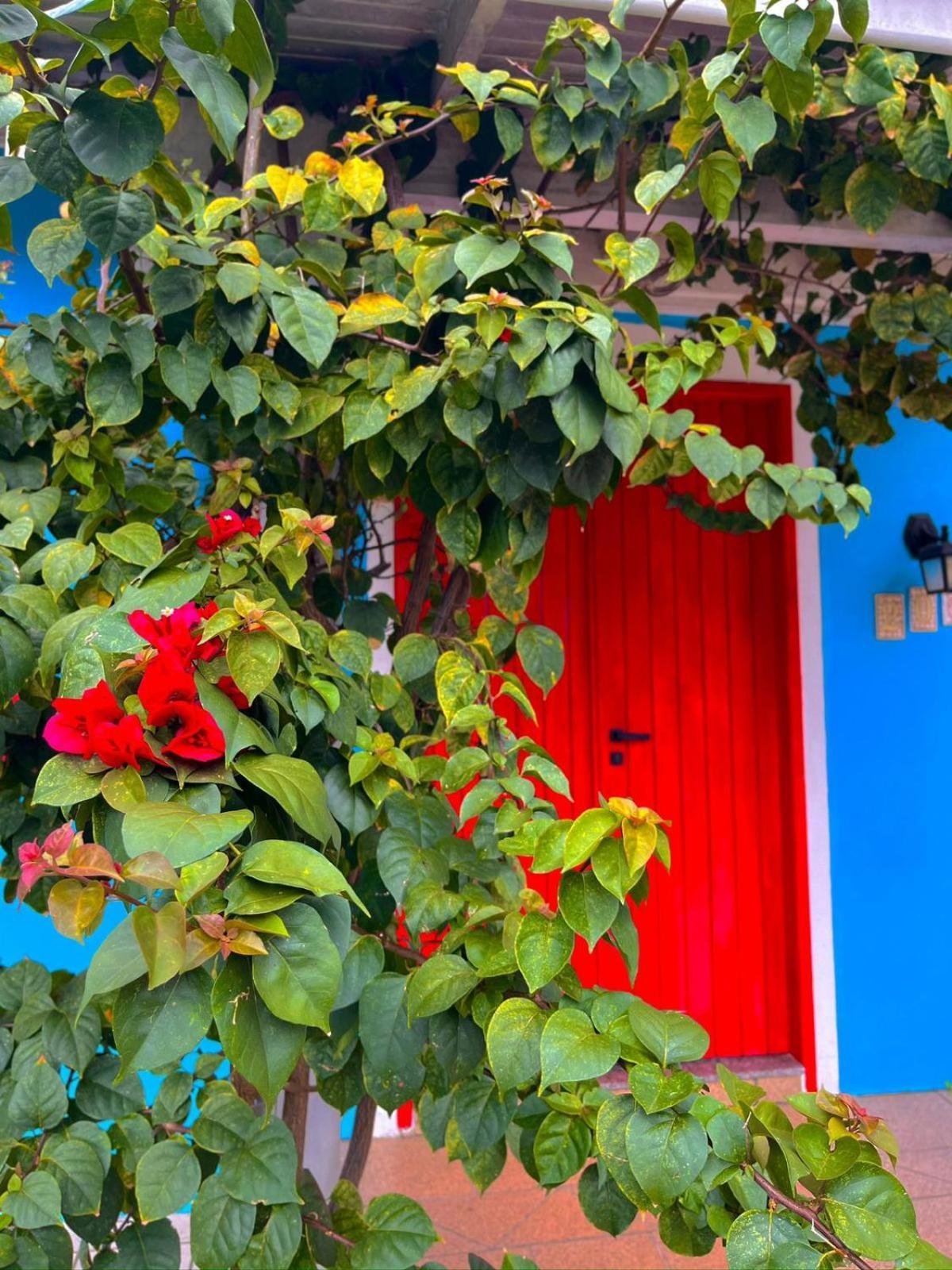 Pequi Hostel Florianópolis 외부 사진